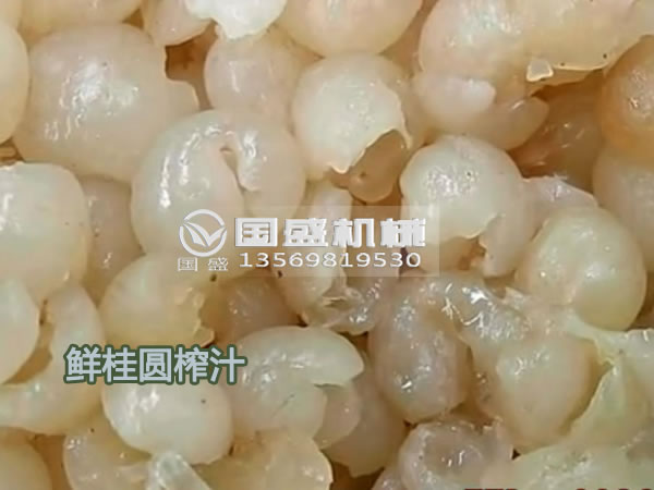 鮮桂圓榨汁機(jī) 鮮桂圓榨汁機(jī)