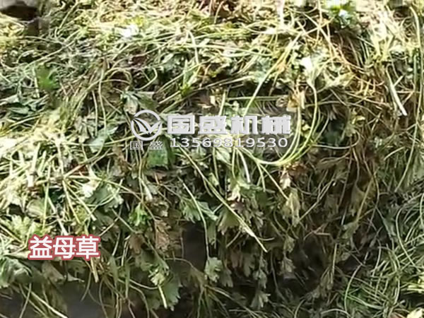 益母草壓榨機(jī) 益母草壓榨機(jī)