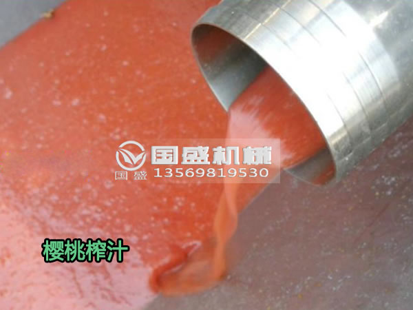 水果蔬菜螺旋壓榨機(jī) 水果蔬菜螺旋壓榨機(jī)