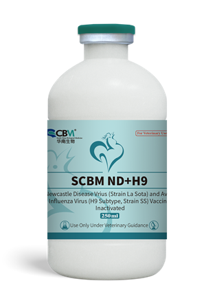 SCBM ND+H9