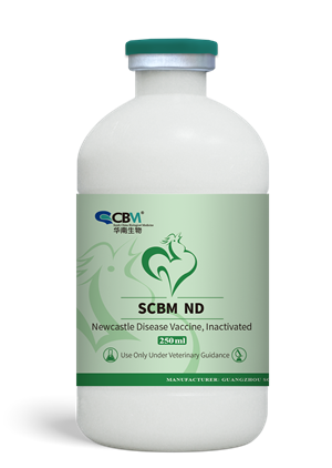 SCBM ND